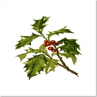 Sprig of Holly Christmas Red Berry Posters and Art